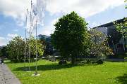 Kohout's Garten- u. Landschaftsbau GmbH - VW-Manufaktur Dresden 2