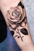 Koi Gnade Ink- TattooLounge - GALLERY