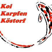 Logo der Firma Koi Karpfen Köstorf