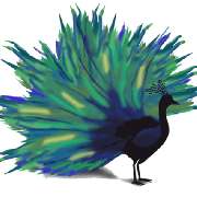 Pfau als Symbol der Empfindsamkeit