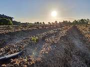 Konrad Stükerjürgen Produktionsges. mbH - GALLERY