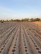 Konrad Stükerjürgen Produktionsges. mbH - GALLERY