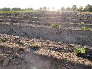 Konrad Stükerjürgen Produktionsges. mbH - GALLERY