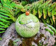 Kopffüssler Töpfer- und Kreativwerkstatt - GALLERY