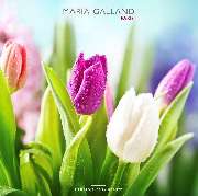 Kosmetik Heitzmann - GALLERY