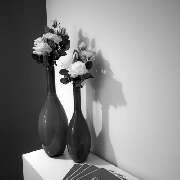 Kosmetikstudios | pure anne | München - blumenvase- Kosmetikstudios | pure anne | München