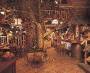 Krabba-Nescht Holzbronn - Baum
