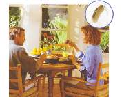 Kracker Hörgeräte - GALLERY