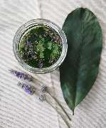 Kräuterglück - GALLERY