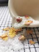 Kräuterglück - GALLERY