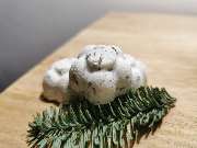 Kräuterglück - GALLERY