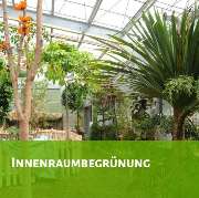 Krahnstöver & Wolf GmbH Garten- u. Landschaftsbau - GALLERY