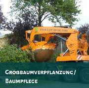 Krahnstöver & Wolf GmbH Garten- u. Landschaftsbau - GALLERY