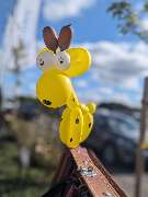 Kramer Events Achtung keine Abholung der Ware hier möglich - GALLERY