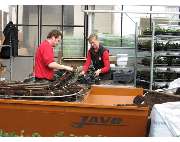 Krauß Gärtnerei - GALLERY