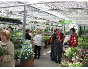 Krauß Gärtnerei - GALLERY