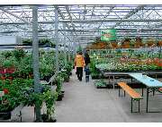 Krauß Gärtnerei - GALLERY