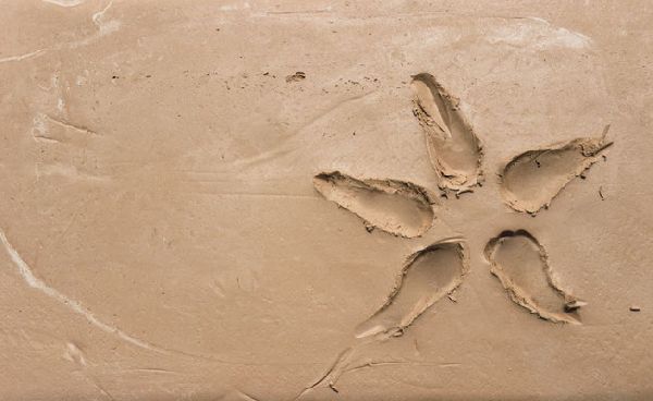 KreativTon - GALLERY