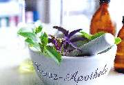 Kreuz-Apotheke Gero Altmann e.K. - GALLERY