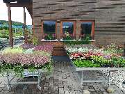 Kröners Gartenwelt GmbH & Co. KG - GALLERY