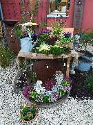 Kröners Gartenwelt GmbH & Co. KG - GALLERY