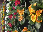 Kröners Gartenwelt GmbH & Co. KG - GALLERY