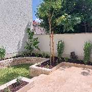 Kropp Gartenbau Schwetzingen - Garten mit frisch verlegtem Rollrasen, heller Natursteinmauer und modernen Pflanzen – professionelle Gartengestaltung mit mediterranem Charakter.