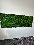 K&S Farbkonzepte - Maler- & Lackierarbeiten - GALLERY