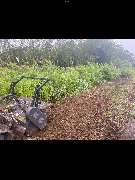 KS Forst- & Gartenbetrieb GmbH - 0ADB37D8-4D07-486F-82D8-BAAE99186693.png