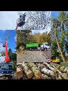 KS Forst- & Gartenbetrieb GmbH - 777A426C-1625-403C-93AC-95DC41E54232.png