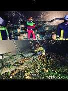 KS Forst- & Gartenbetrieb GmbH - AE8300A5-0B7B-41F2-9499-3E3C7CB3AD9F.png