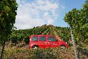 Kühne Lage Bistro und Weinhandlung - Kühne Lage Bistro und Weinhandlung