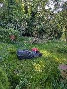 Küsten Handwerker - 1000002351.jpg