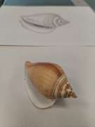 Kunstakademie Bonauer Dachau - GALLERY