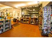 Kunsthaus Frenzel e.K. - GALLERY