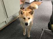 Kunte Software GmbH - GALLERY