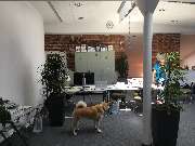 Kunte Software GmbH - GALLERY