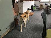 Kunte Software GmbH - GALLERY