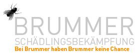Kurt Brummer Schädlingsbekämpfung - 1