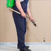 Kurt Brummer Schädlingsbekämpfung - Schädlingsbekämpfung