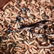 Kurz und Weit Brillenmanufaktur - Kurz & Weit Brillenwerkstatt