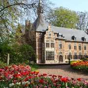 Brüssel - Floralia jedes Jahr im Frühjahr im Schlosspark Groot Bijgarden 
