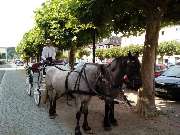 Kutsch- & Planwagenfahrten Isolde Heintz - 3