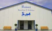 Kutschen und Zubehör Bauer - GALLERY