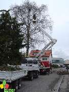 Kutter Mathias Gartengestaltung Zaunbau - 