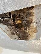 L.K-construction Schimmel und Wasserschadensanierung - GALLERY