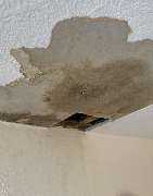 L.K-construction Schimmel und Wasserschadensanierung - GALLERY