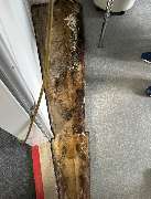 L.K-construction Schimmel und Wasserschadensanierung - GALLERY