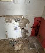 L.K-construction Schimmel und Wasserschadensanierung - GALLERY