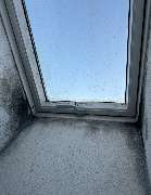 L.K-construction Schimmel und Wasserschadensanierung - GALLERY